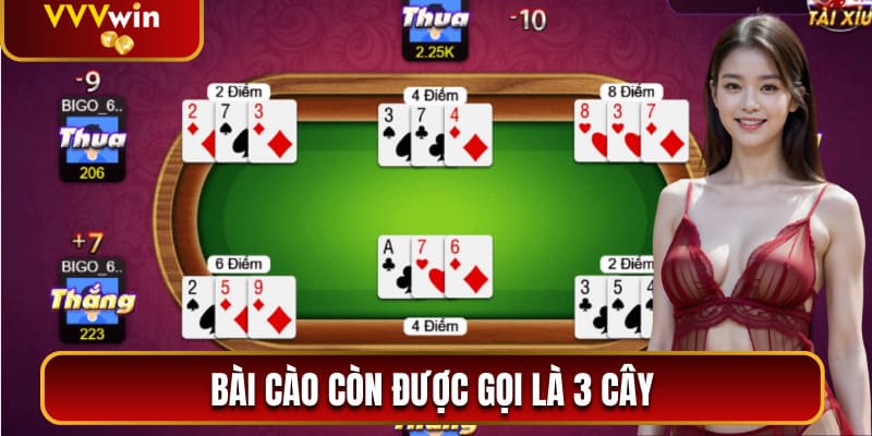 Bài cào còn được gọi là 3 cây